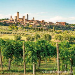 Toskana-Bio-Weingut Reisen mit Sinnen Toskana